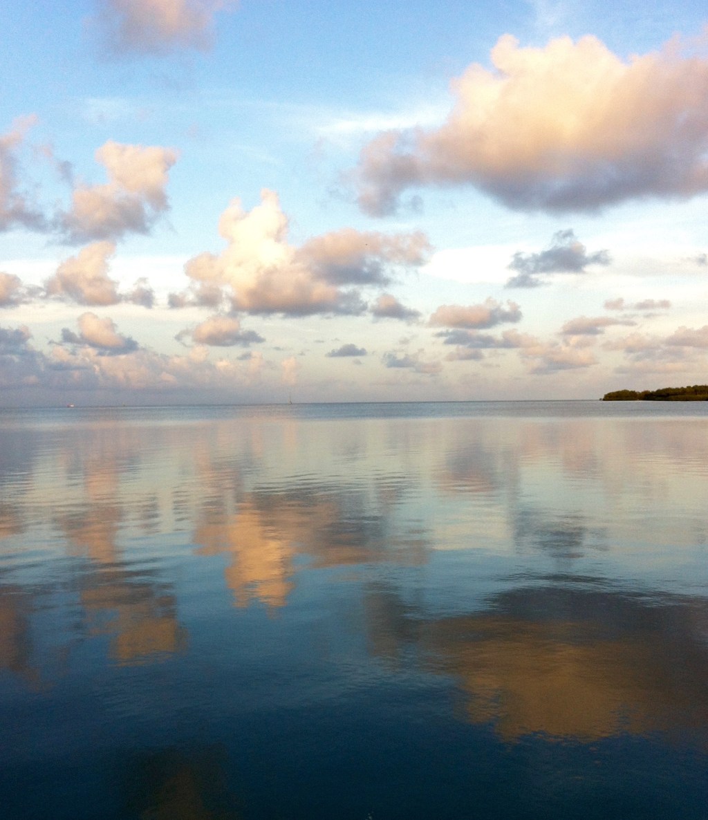 Daily Prompt: Surface