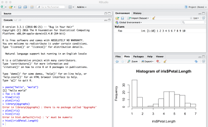Rstudio GUI.png